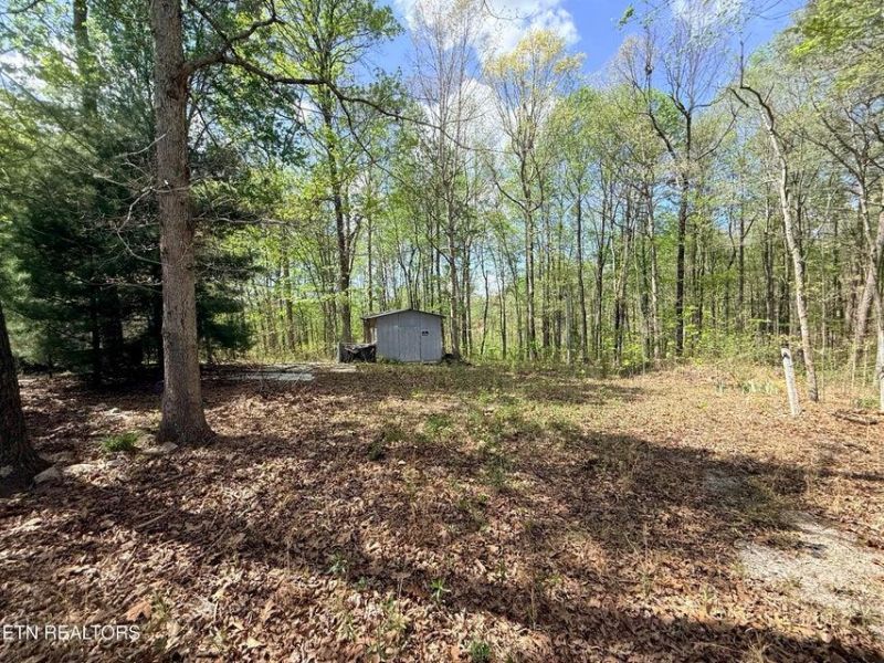 238 Joe Barnett Rd, Jamestown, TN 00000 Main Photo