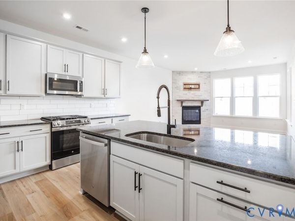 18736 Palisades Cove Trail, Moseley, VA 23120