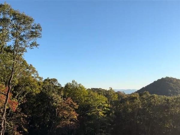 600 Kittatinny Drive, Mineral Bluff, GA 30559