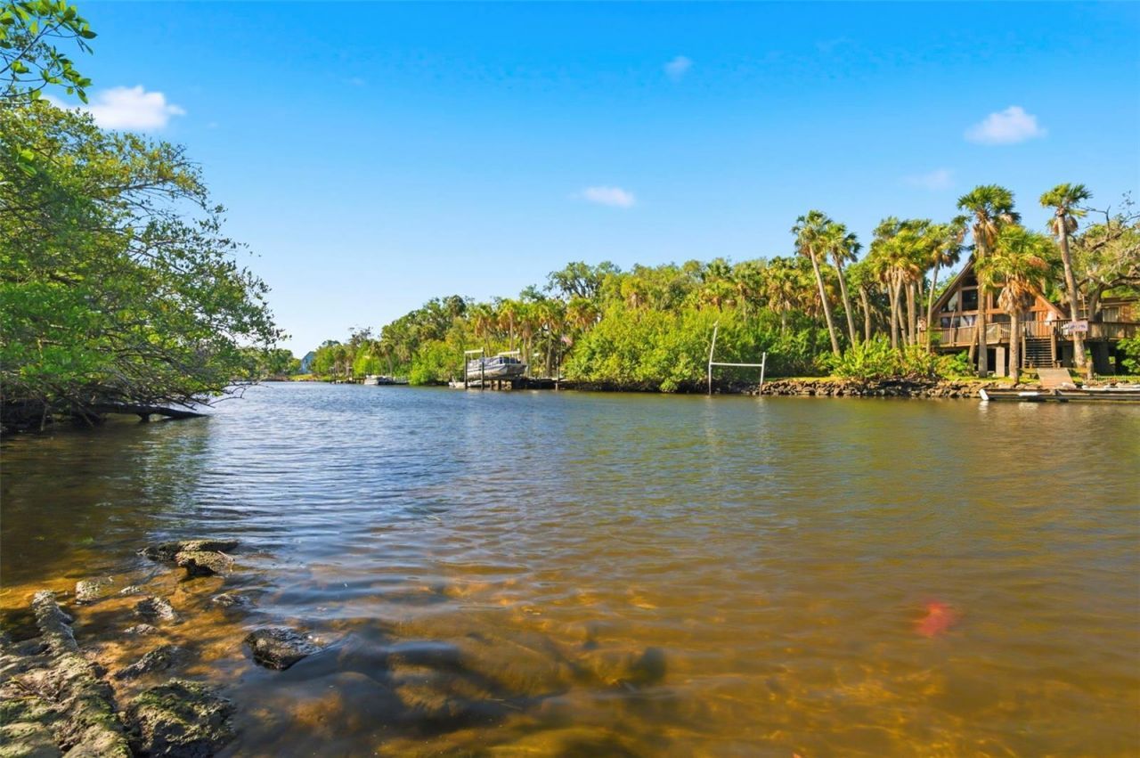 5651 Monroe Street, New Port Richey, FL 34653 Photo