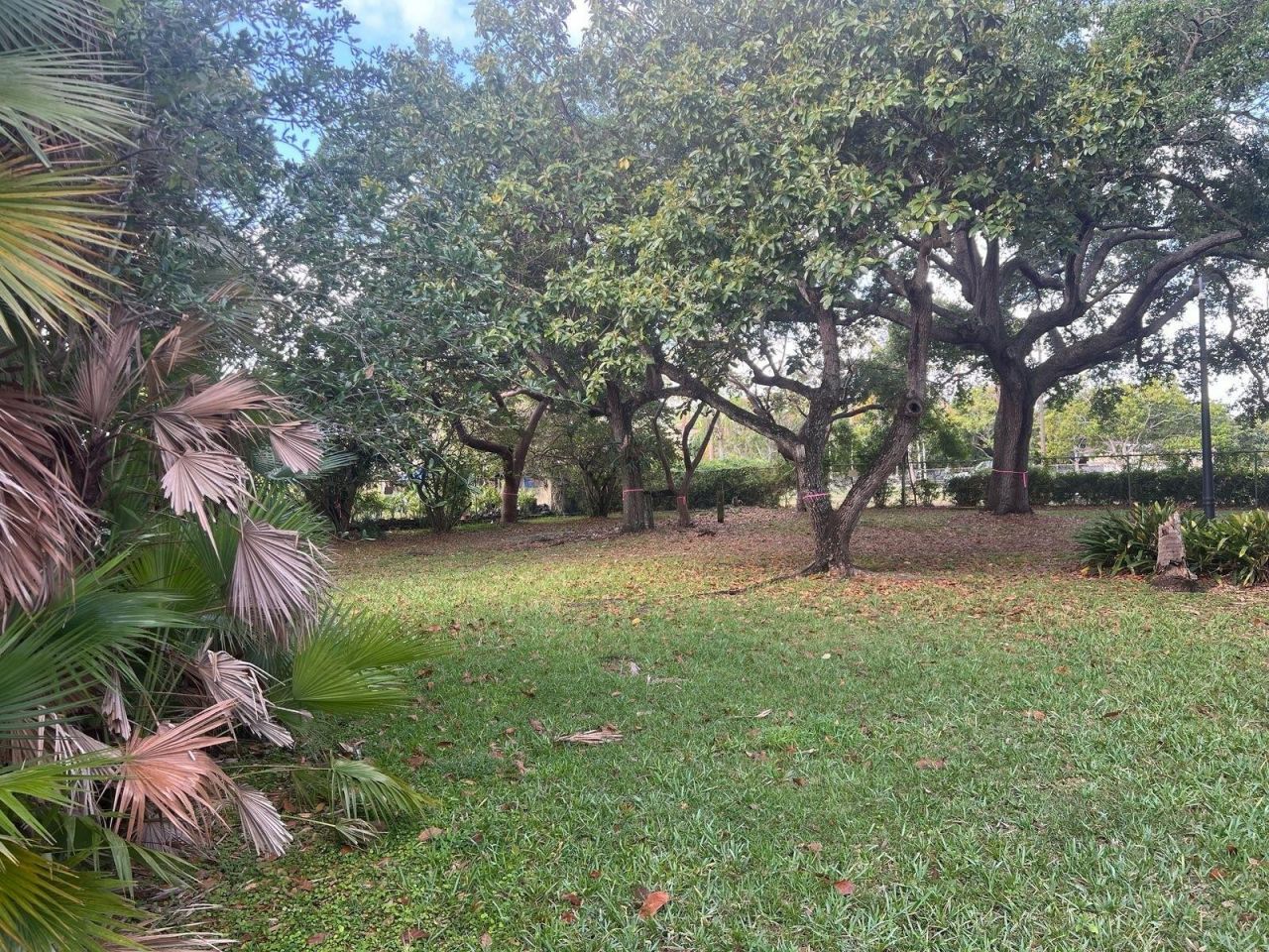 24700 SW 129th Avenue, Homestead, FL 33032 Photo