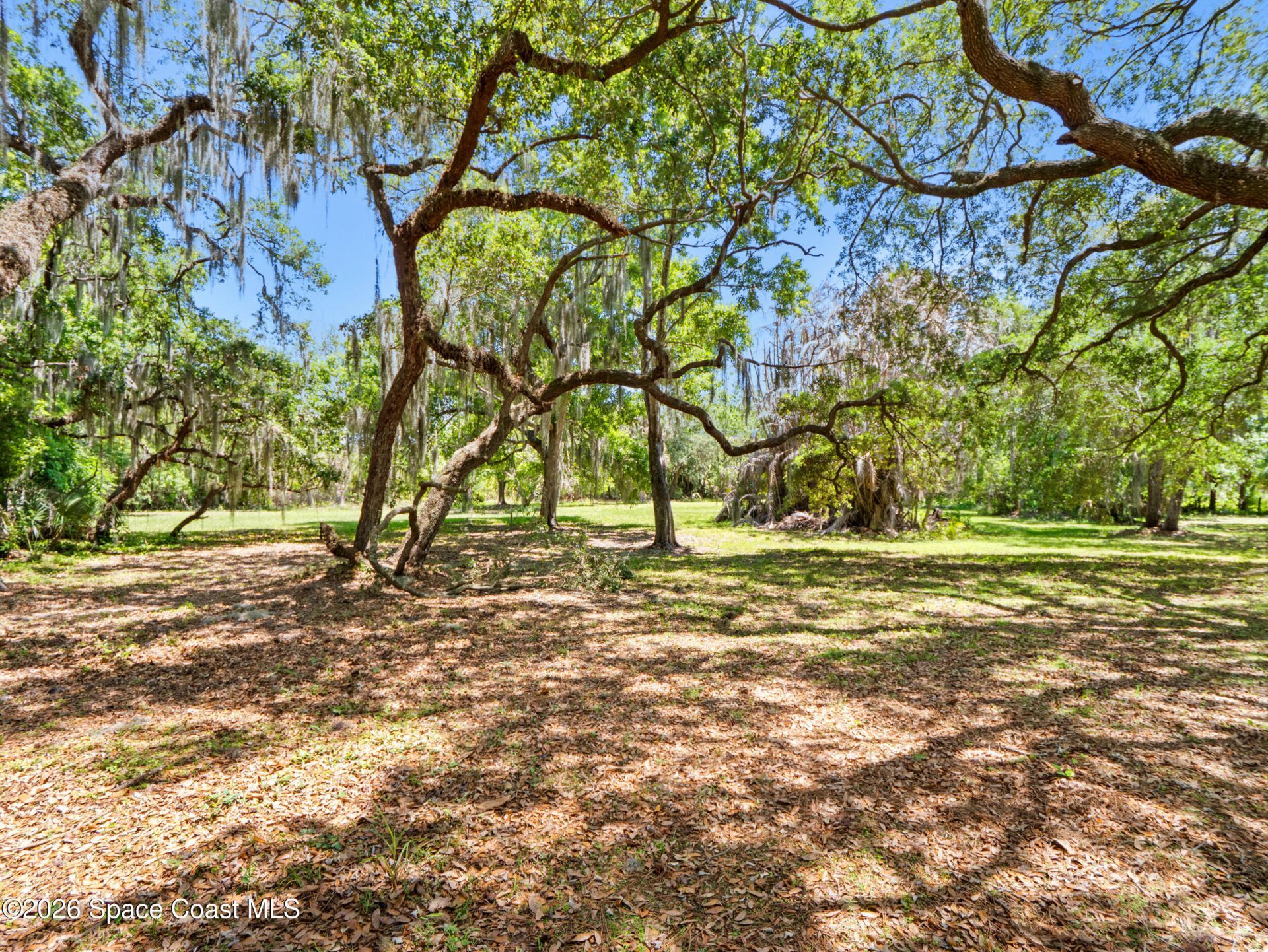 255 Mockingbird Lane, Merritt Island, FL 32953 Photo