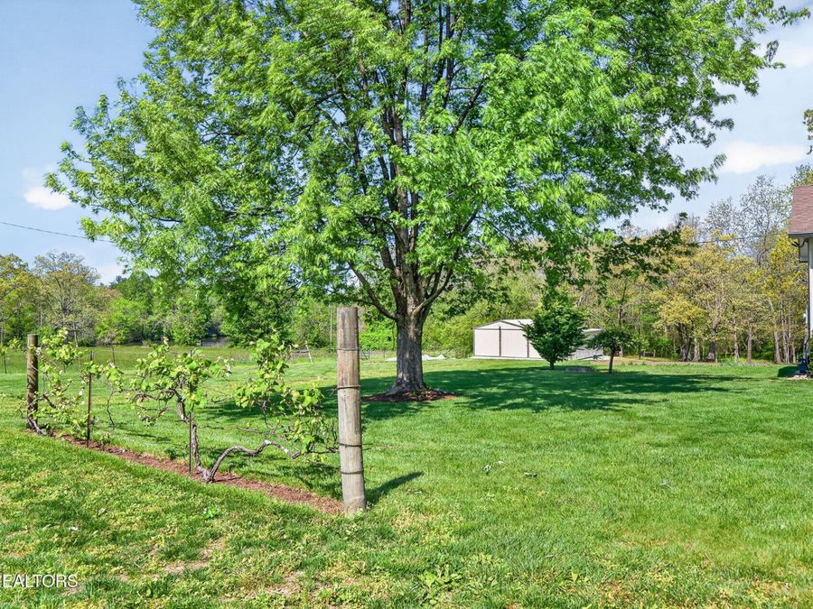 Property Image 51