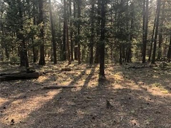 469 Echo Lake Drive, Lake George, CO 80827