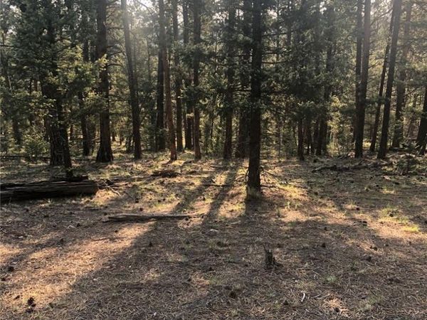 469 Echo Lake Drive , Lake George, CO 80827