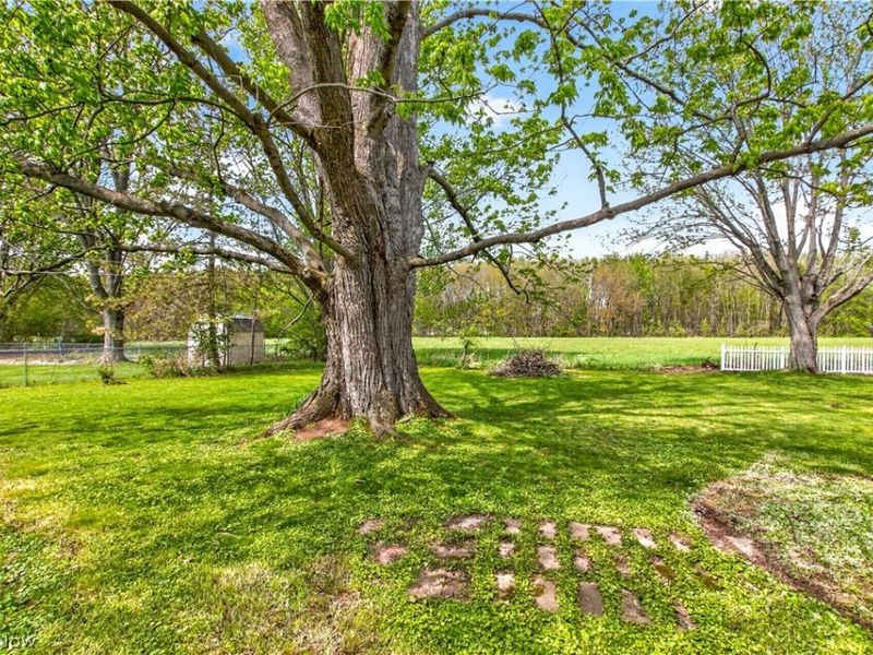 39568 Carol Lane, Elyria, OH 44035 Photo 38