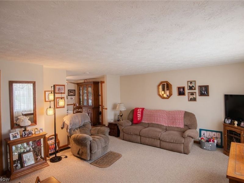 719 Oregon Avenue , Mc Donald, OH 44437 Photo 3