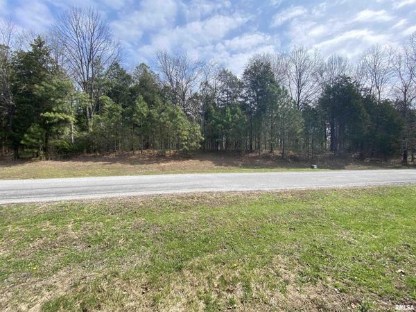 396 & 399 Parrish Ridge Road, Goreville, IL 62939