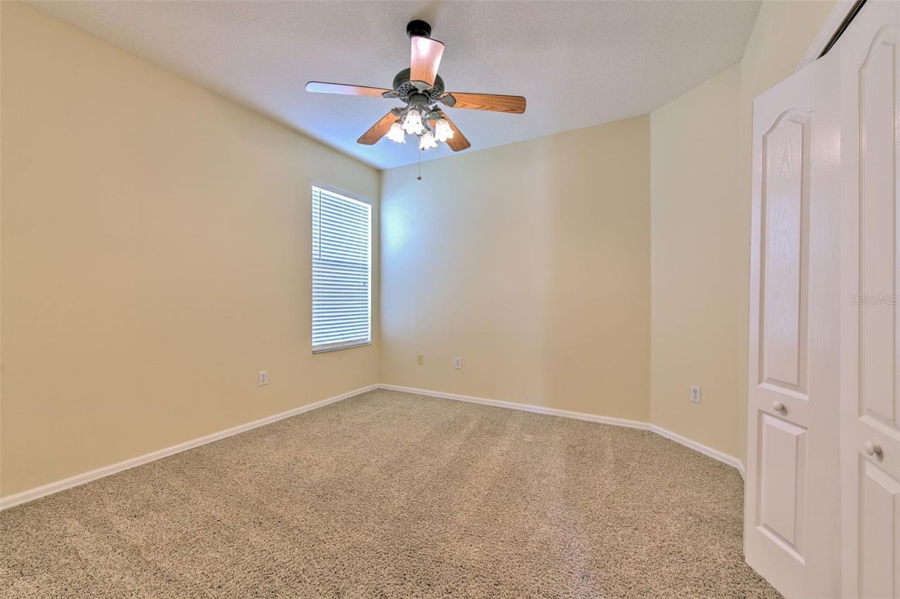 27601 Baybrook Loop, Wesley Chapel, FL 33544 Photo