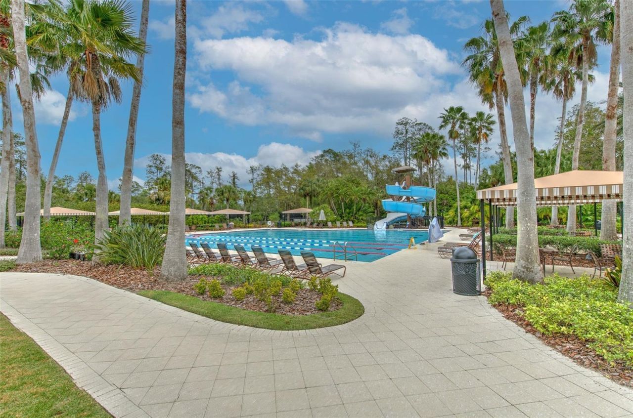 27601 Baybrook Loop, Wesley Chapel, FL 33544 Photo