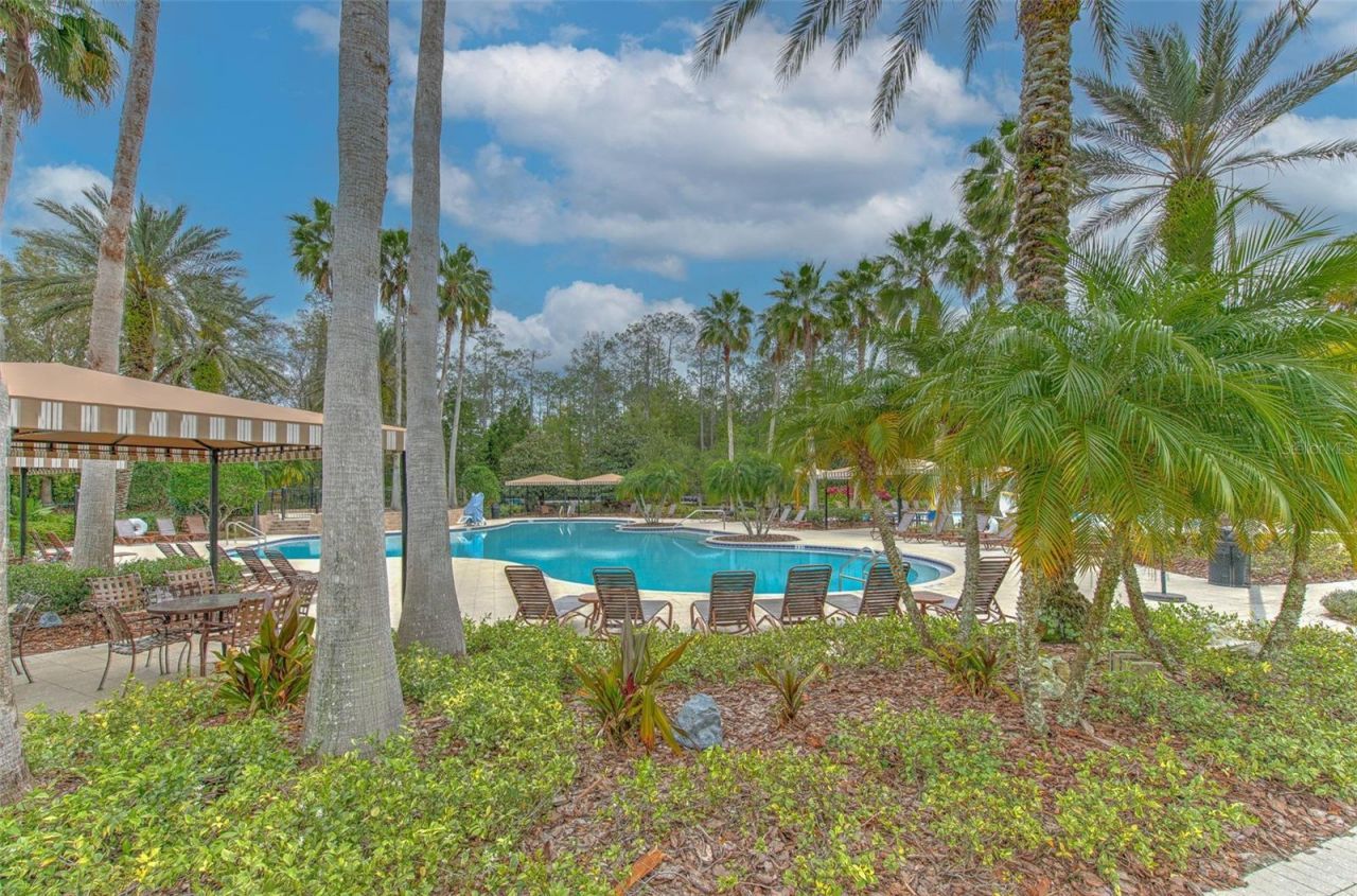 27601 Baybrook Loop, Wesley Chapel, FL 33544 Photo