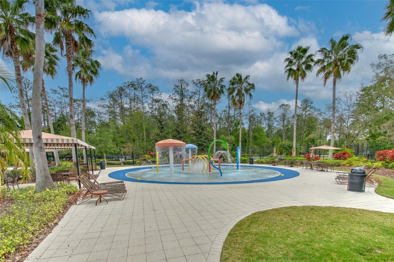 27601 Baybrook Loop, Wesley Chapel, FL 33544 Photo