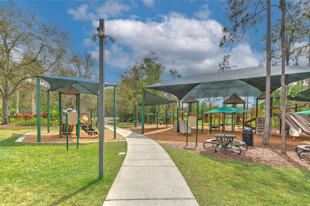 27601 Baybrook Loop, Wesley Chapel, FL 33544 Photo