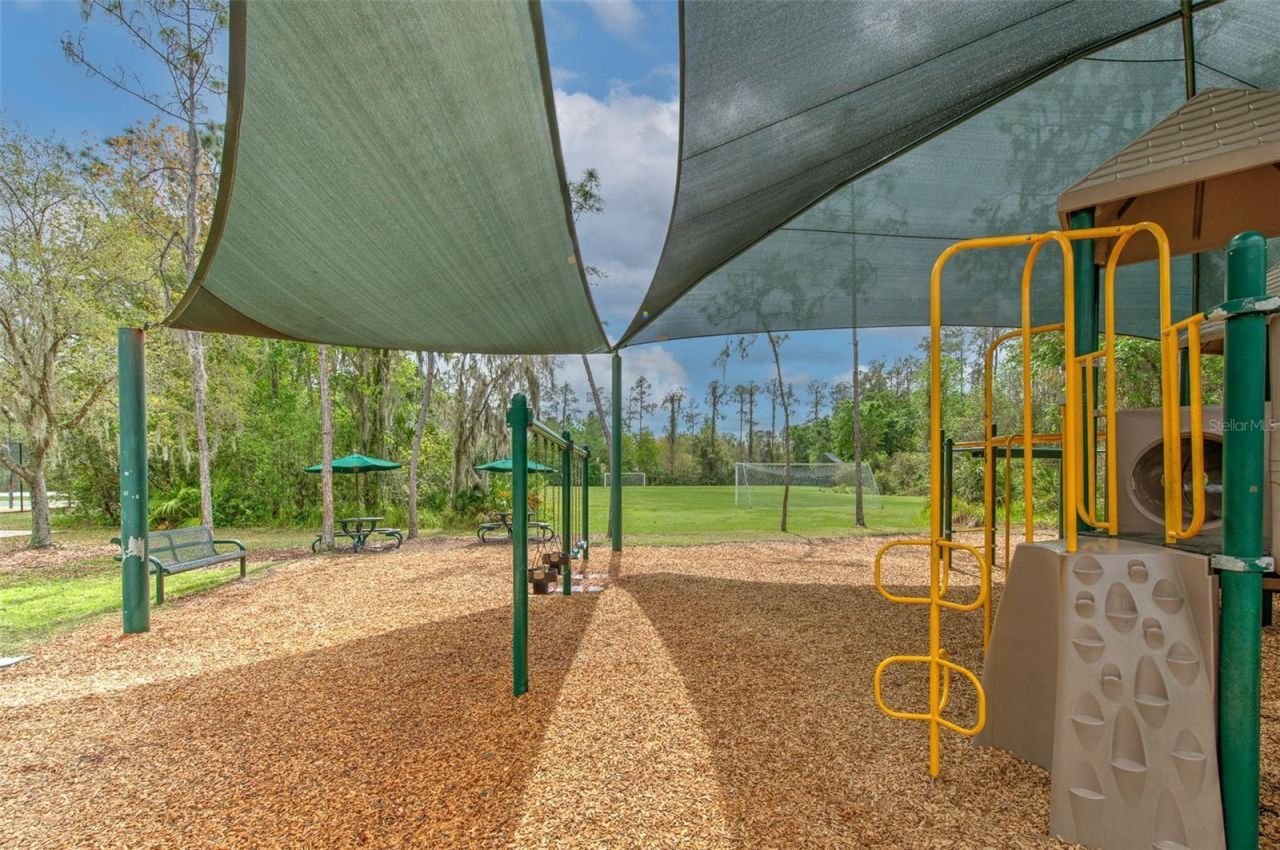 27601 Baybrook Loop, Wesley Chapel, FL 33544 Photo