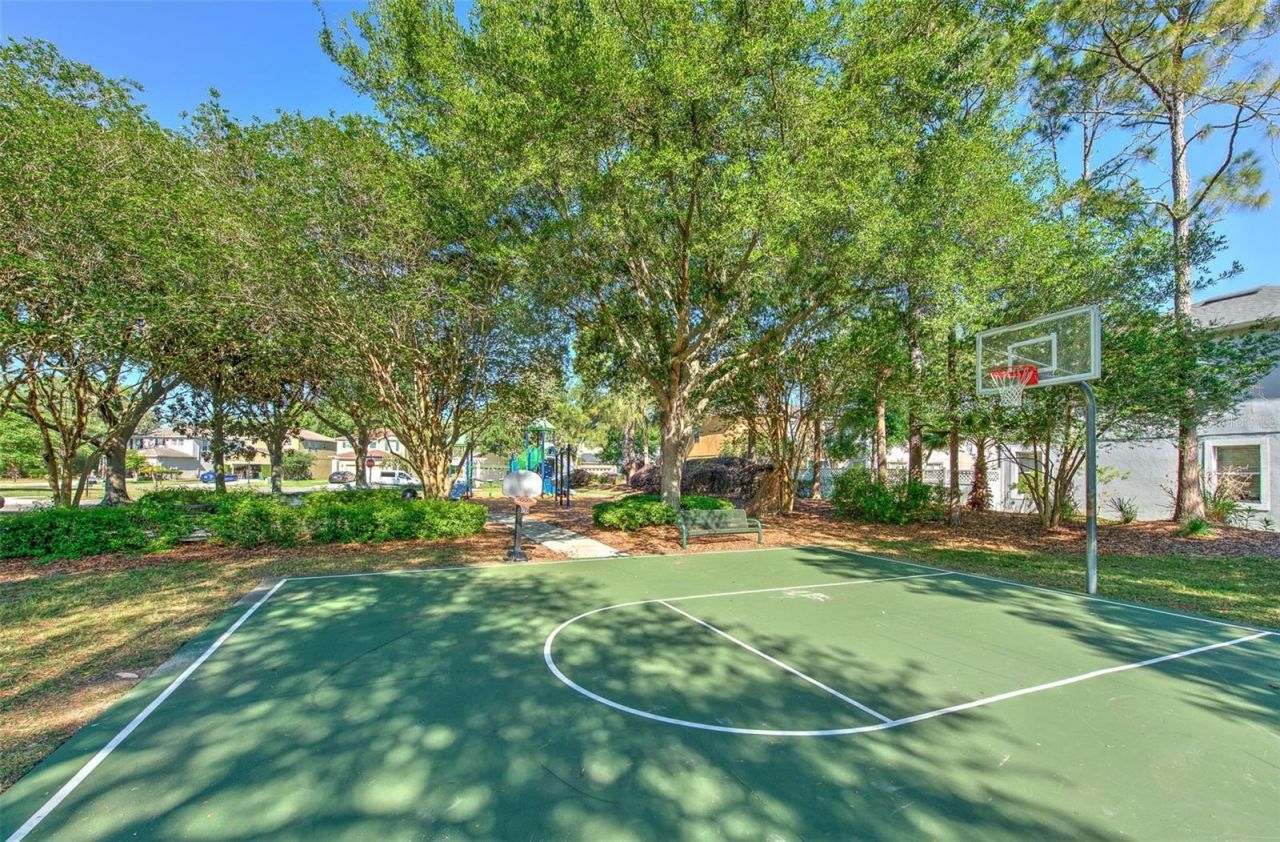 27601 Baybrook Loop, Wesley Chapel, FL 33544 Photo
