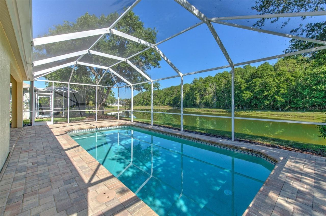 27601 Baybrook Loop, Wesley Chapel, FL 33544 Photo