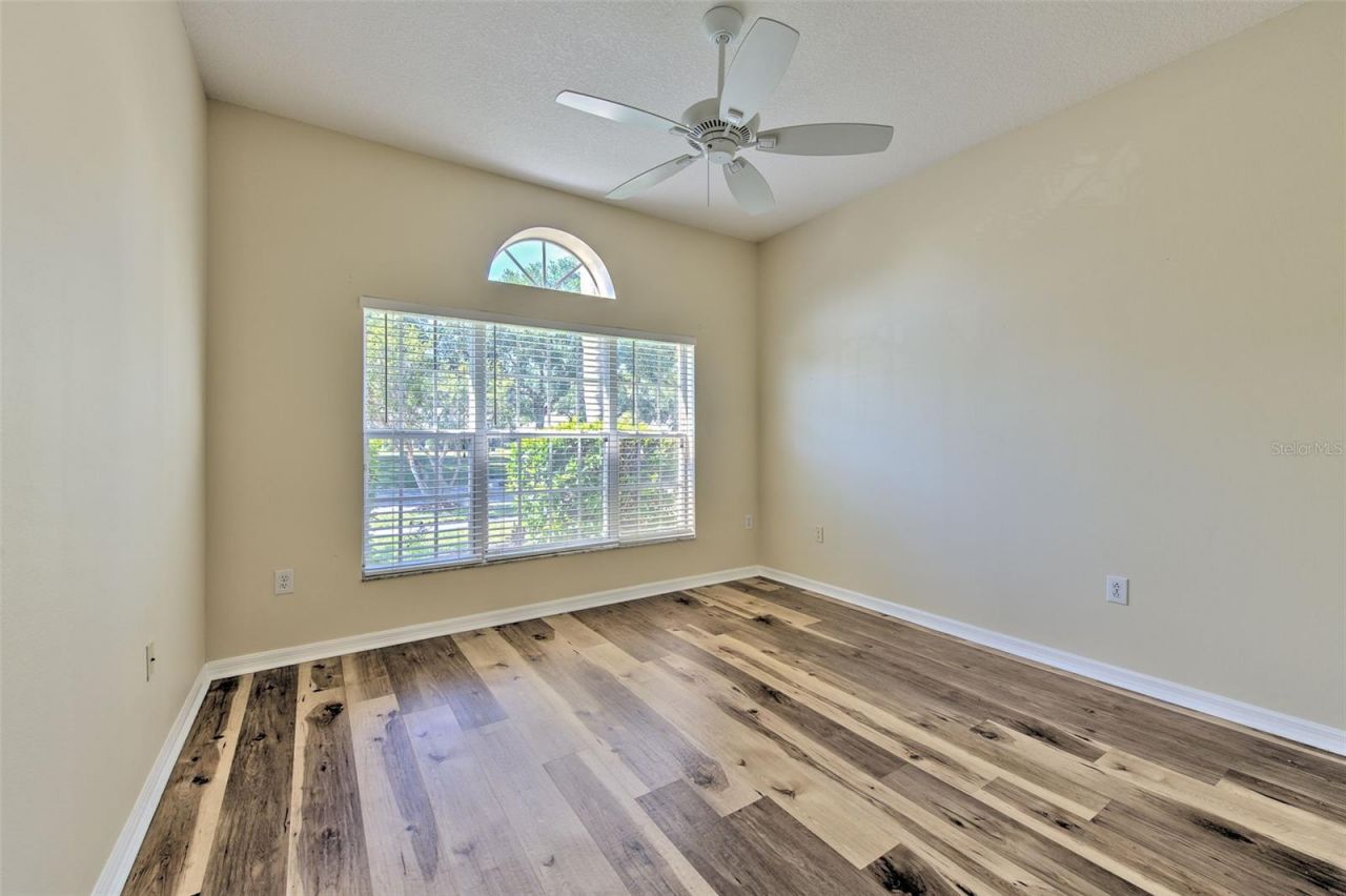 27601 Baybrook Loop, Wesley Chapel, FL 33544 Photo
