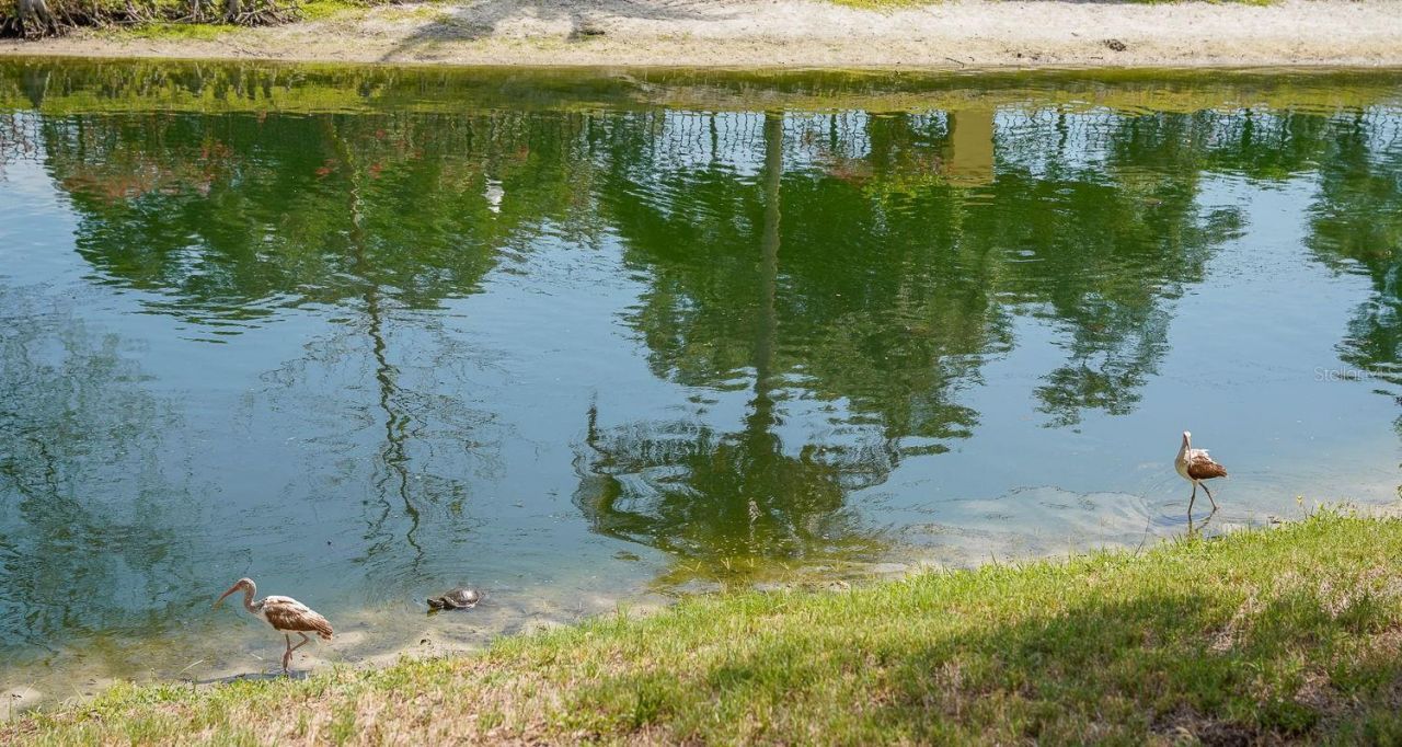 176 Coquina Bay Dr Drive , Saint Petersburg, FL 33705 Photo