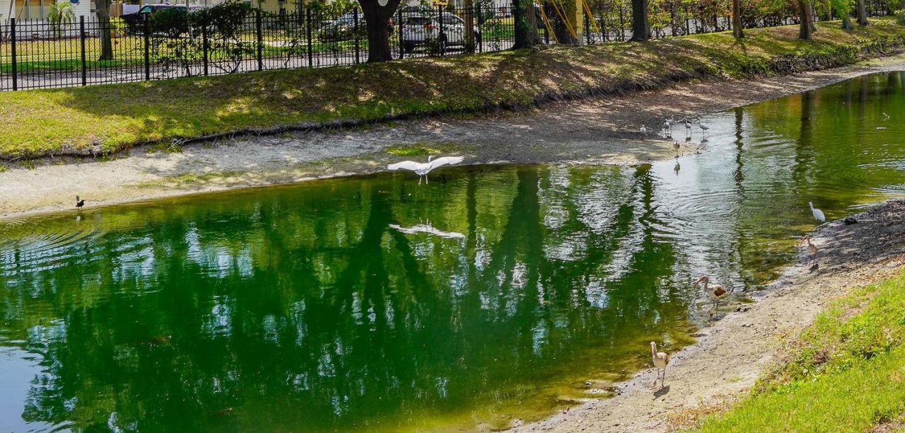 176 Coquina Bay Dr Drive , Saint Petersburg, FL 33705 Photo