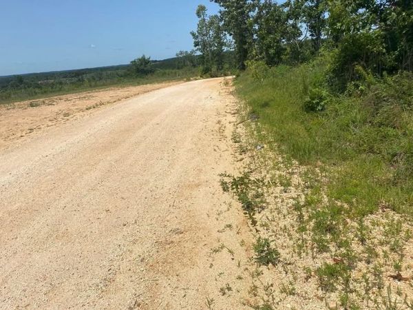 TRACT 4 TOLL HOLLOW RD, Waynesboro, TN 38485