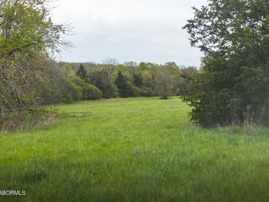 Property Image 59