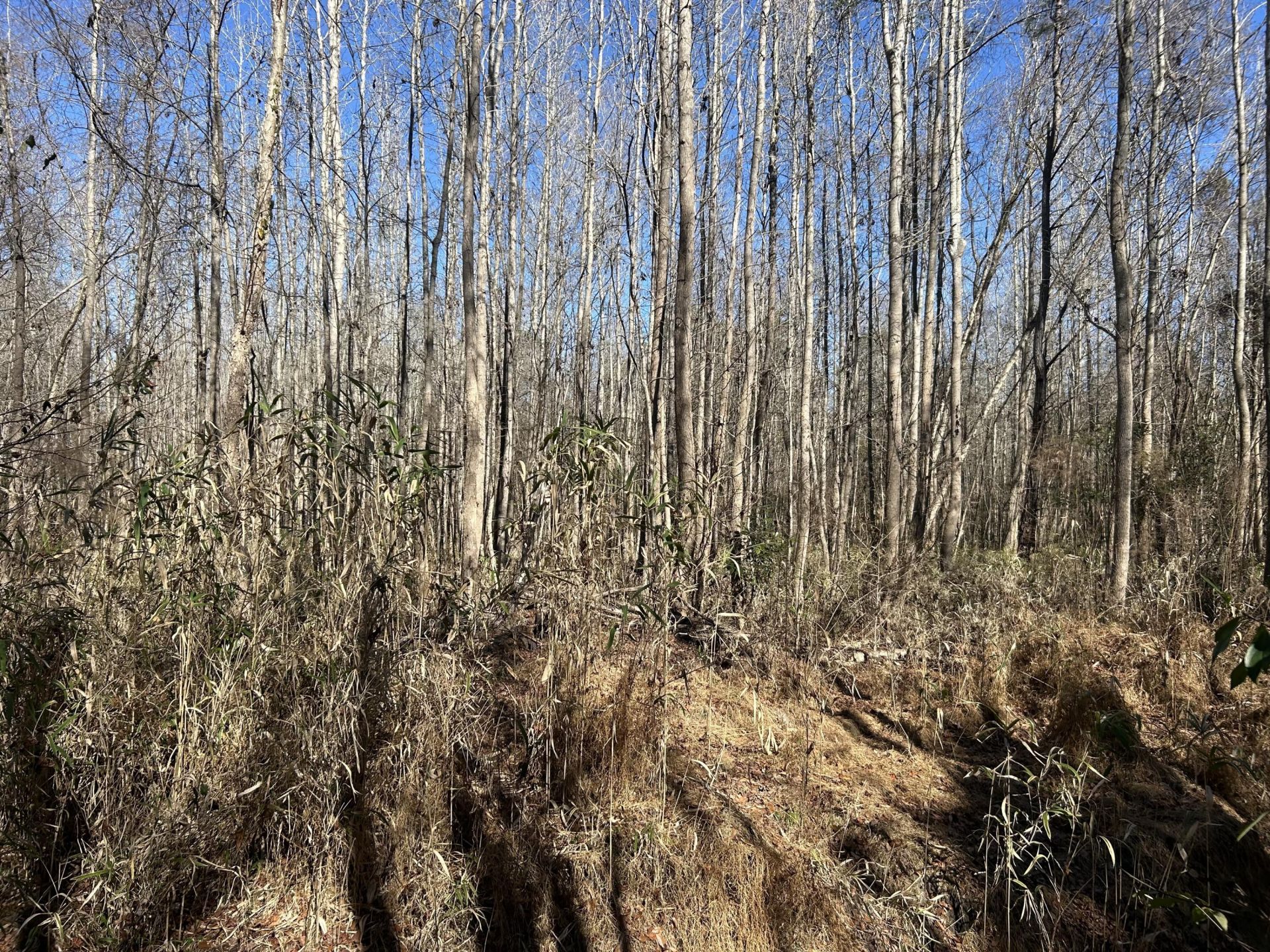 0 Highway 261 Photo 12