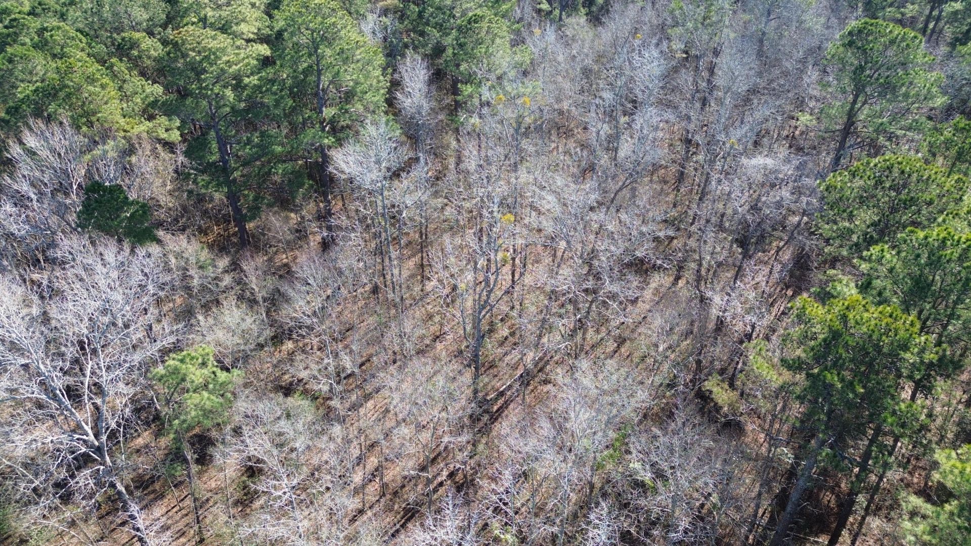 0 Highway 261 Photo 7