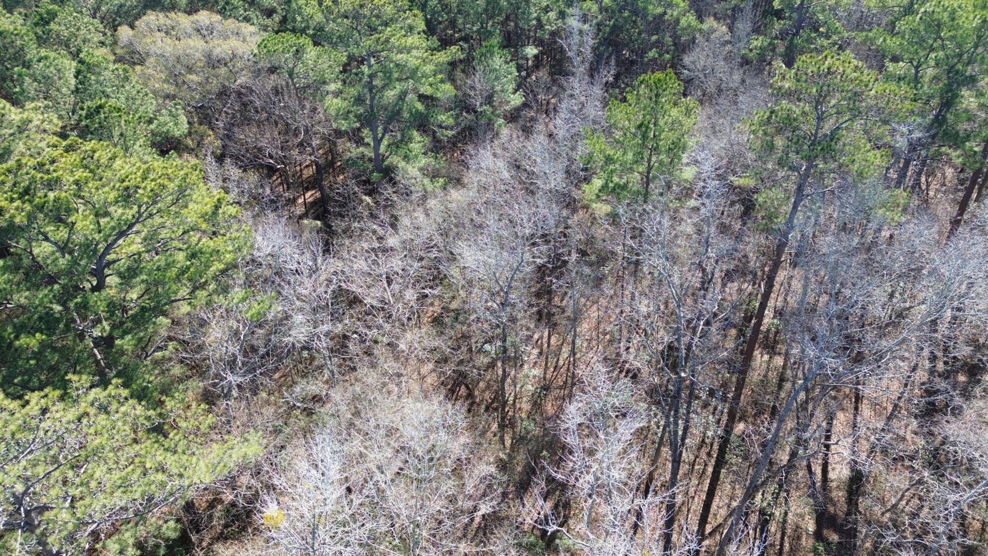 0 Highway 261 Photo 8