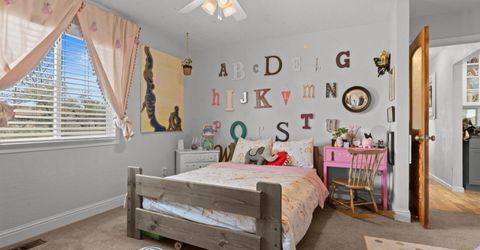 2530 Henning Lane, Minden, NV 89423 Photo