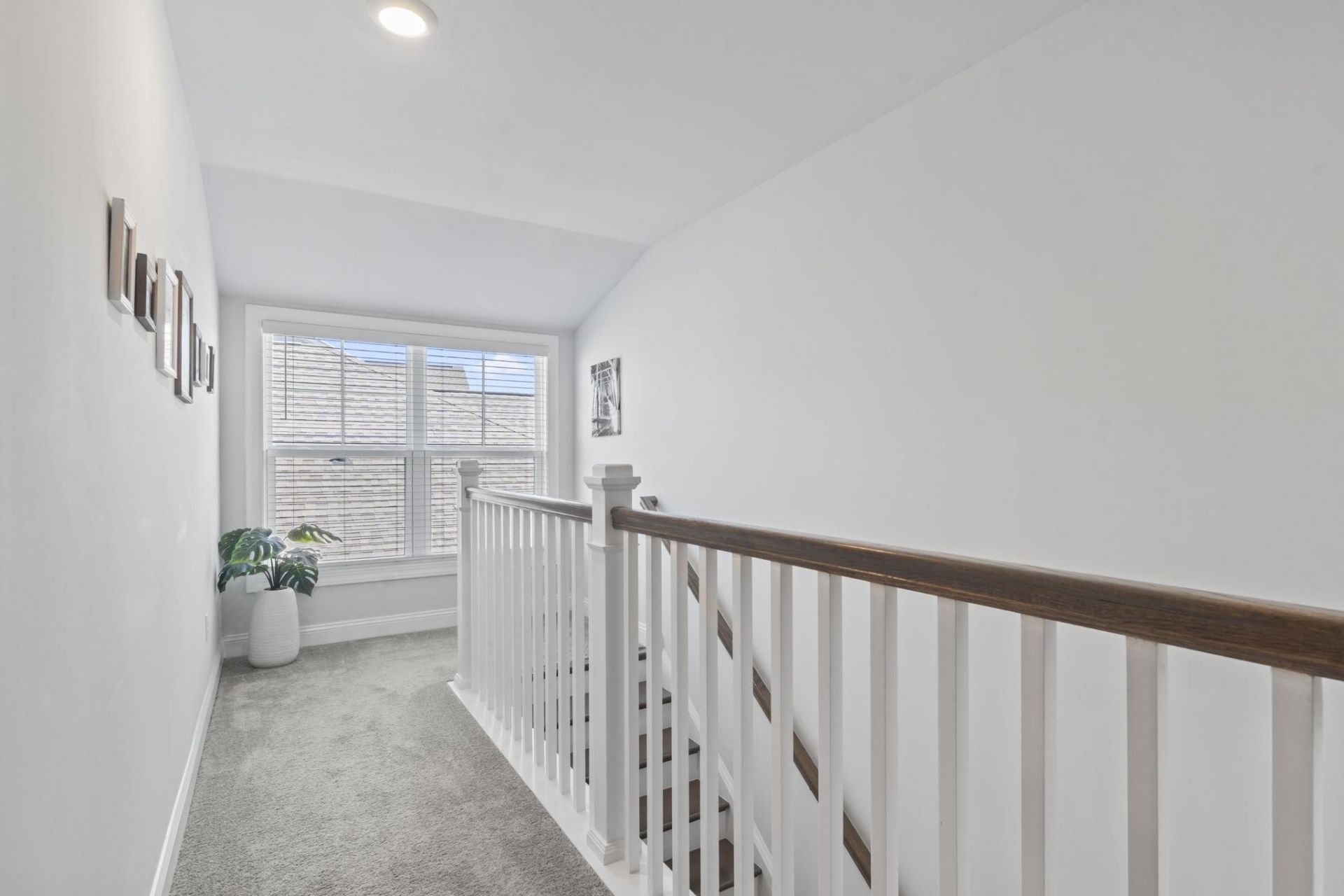 2862 Stellar Loop Photo 15