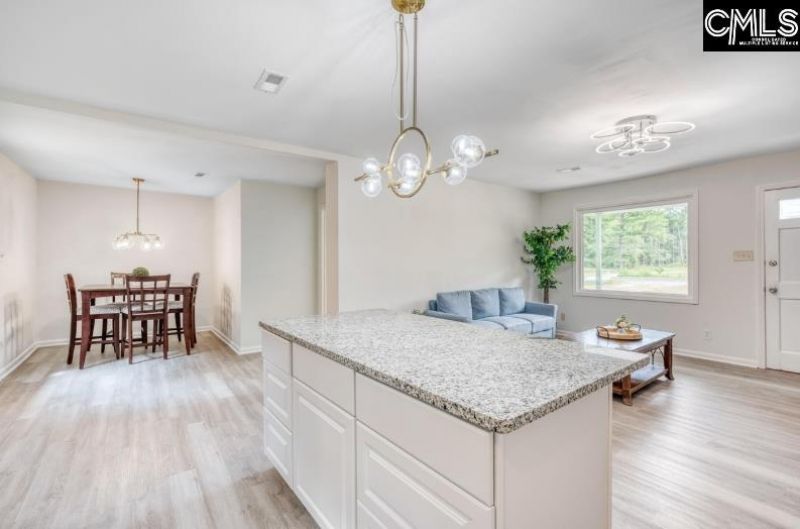 1091 Spring Plains Road  Photo 7