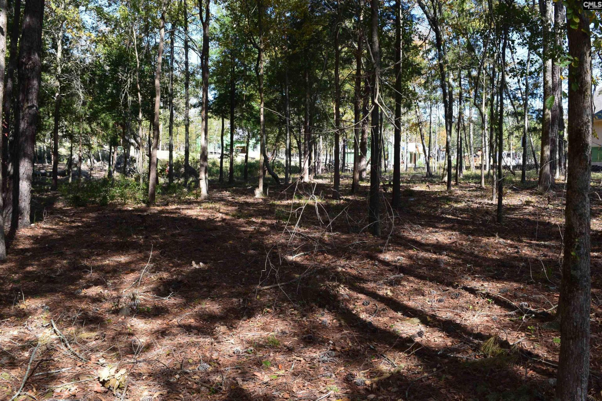 934 Salisbury Court  Photo 14