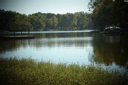 934 Salisbury Court  photo 4