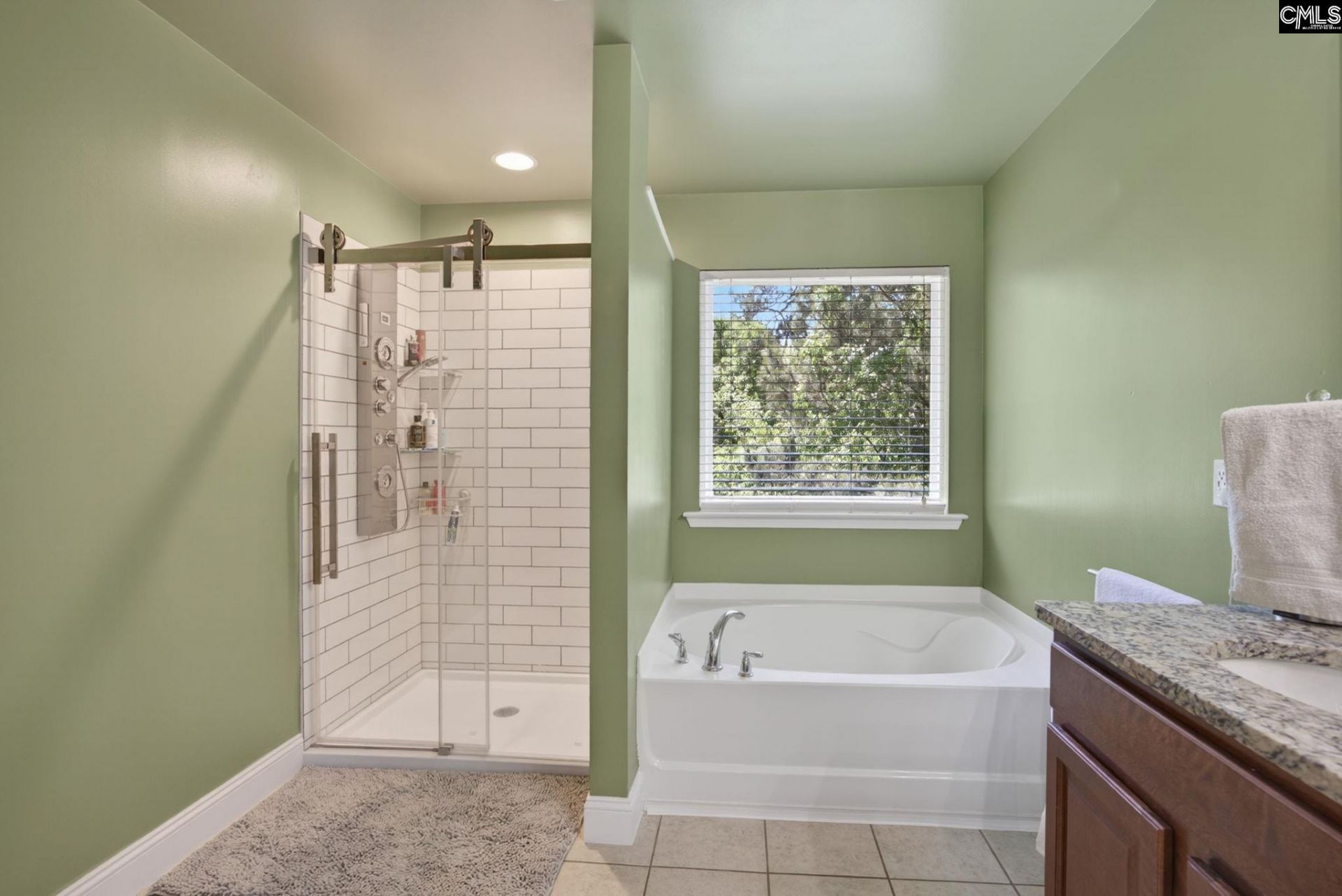 221 Allenbrooke Drive Photo 32