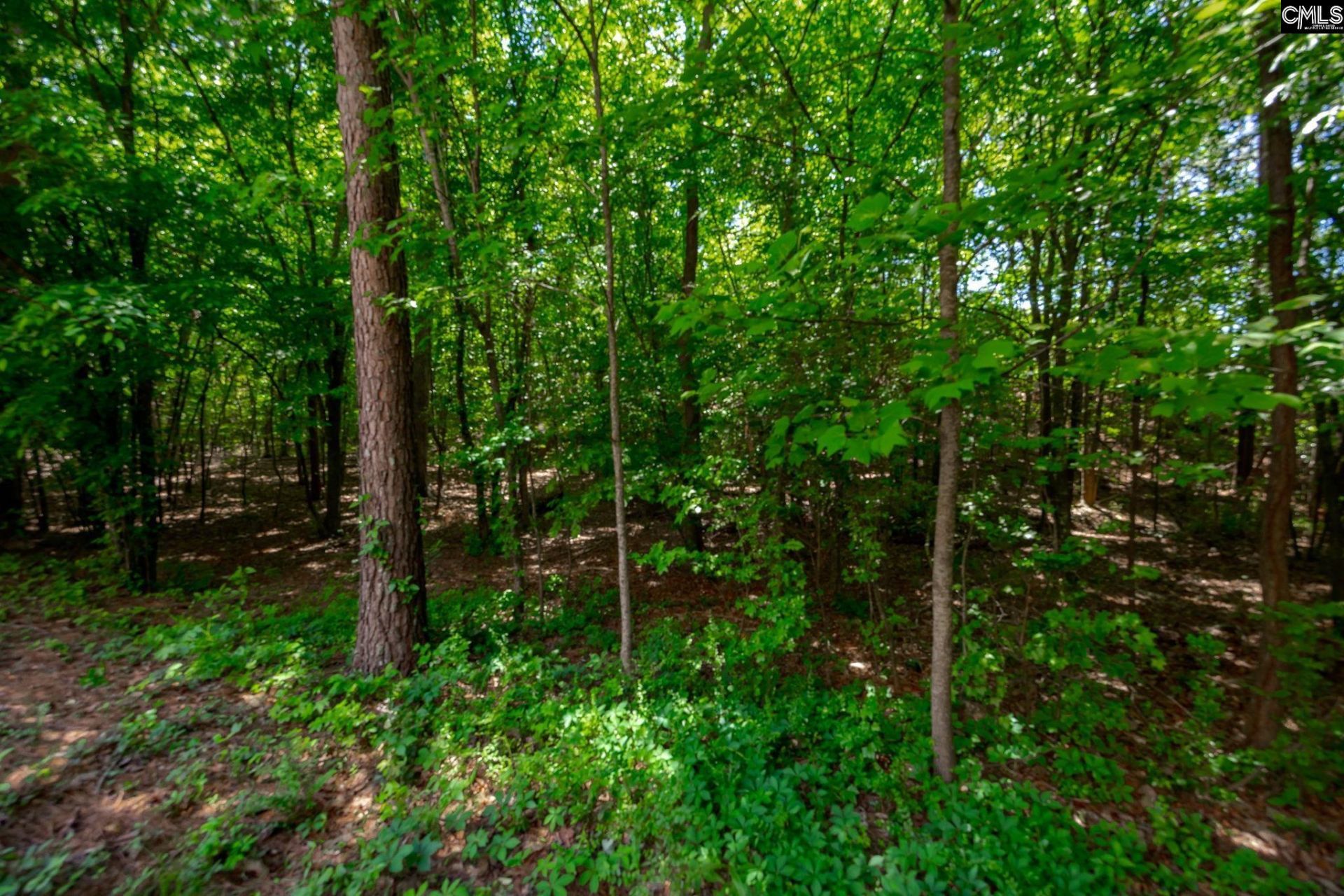 221 Allenbrooke Drive Photo 48