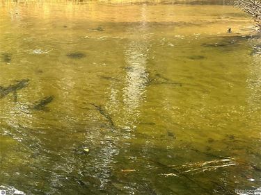 6051 N Manistee River Road, Frederic Twp, MI 49733