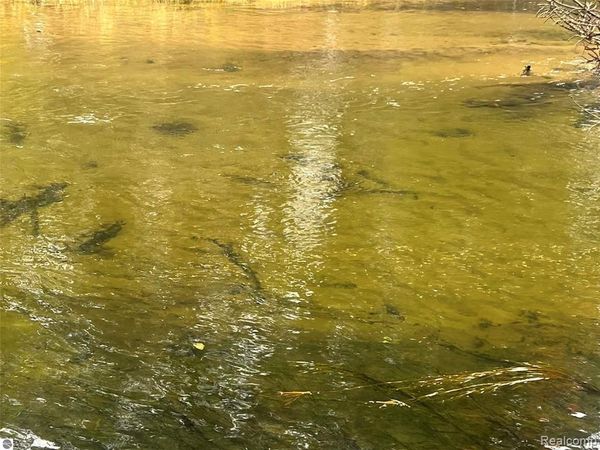 6051 N Manistee River Road , Frederic Twp, MI 49733