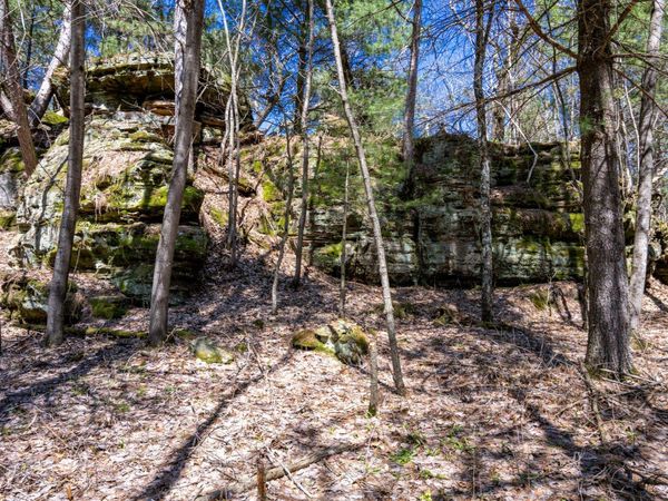 30.73 ac County Road B, Grand Marsh, WI 53936