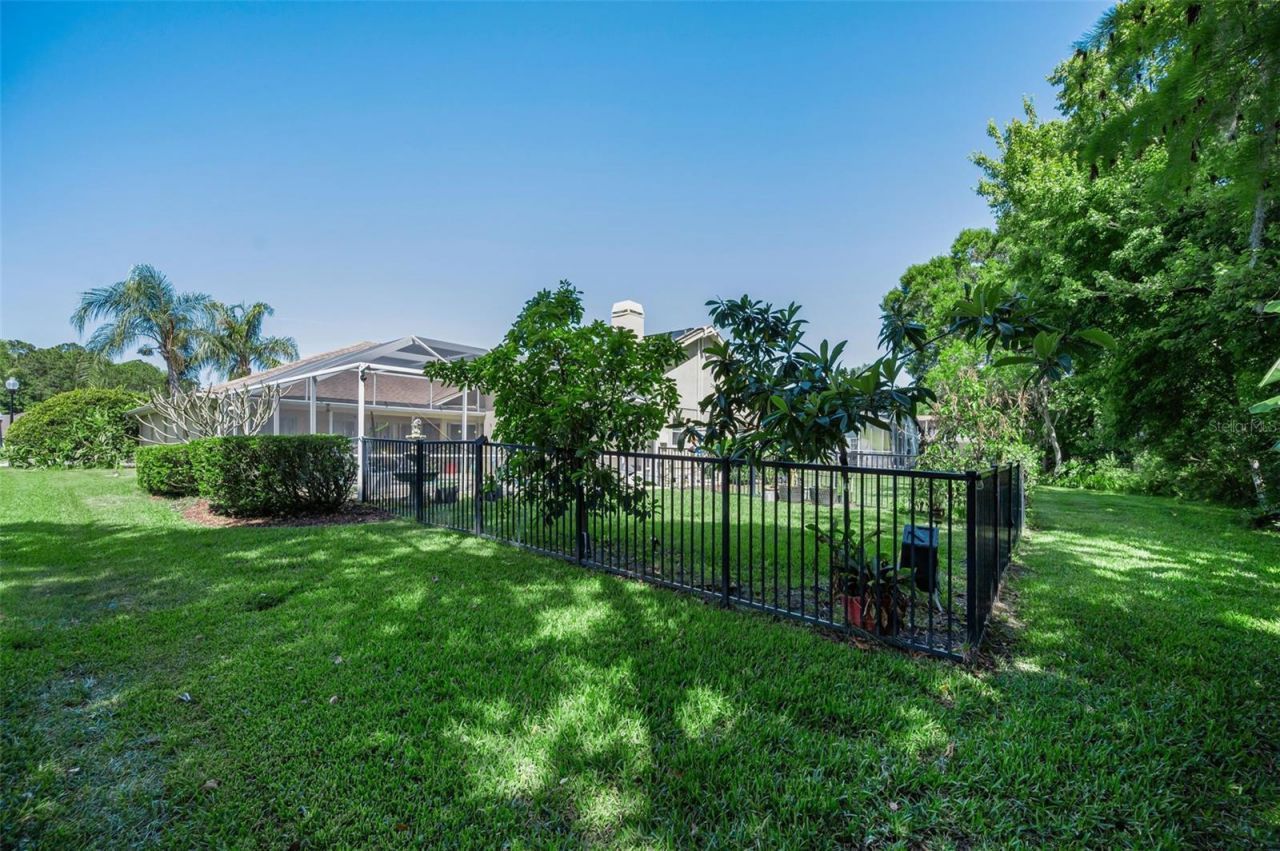 1234 Arlinbrook Drive , Trinity, FL 34655 Photo