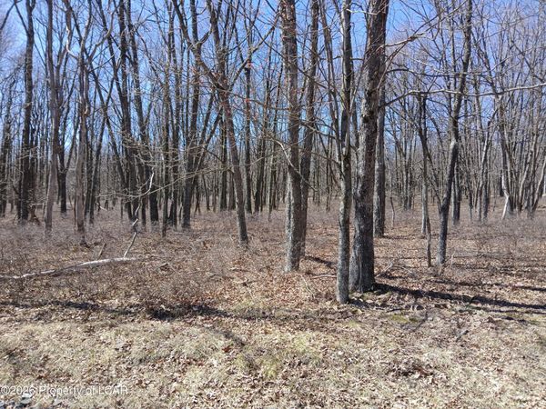 108 Sweet Birch Drive, Hazle Twp, PA 18202