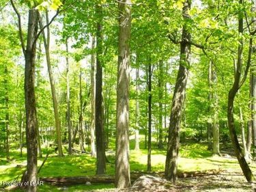 332 Shingle Mill Drive, Drums, PA 18222