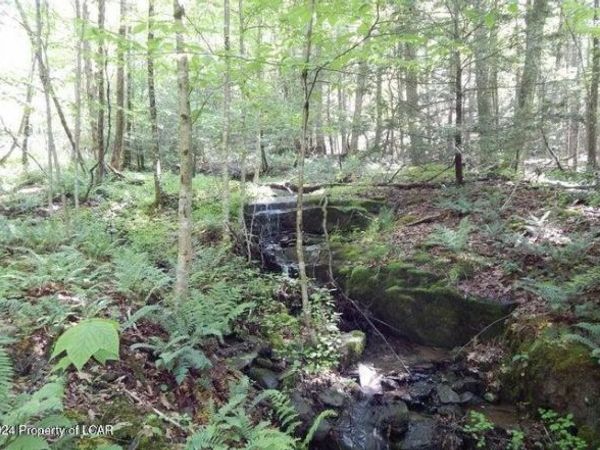 1 & 2 Sparrow Road, Harveys Lake, PA 18618