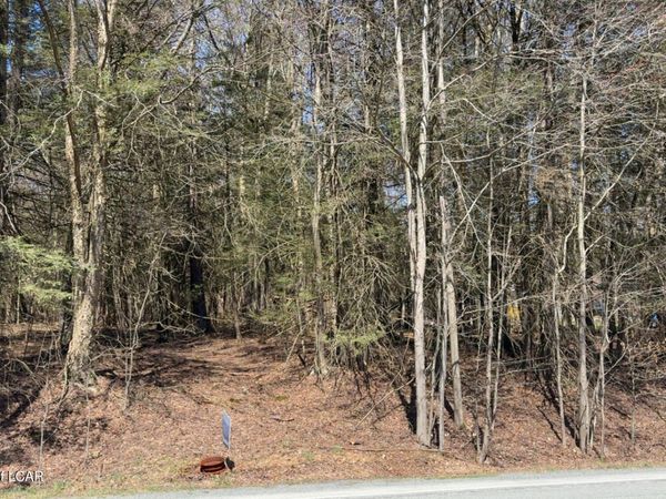Millcreek Road, Newfoundland, PA 18445