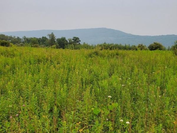 St Johns Road, Drums, PA 18222