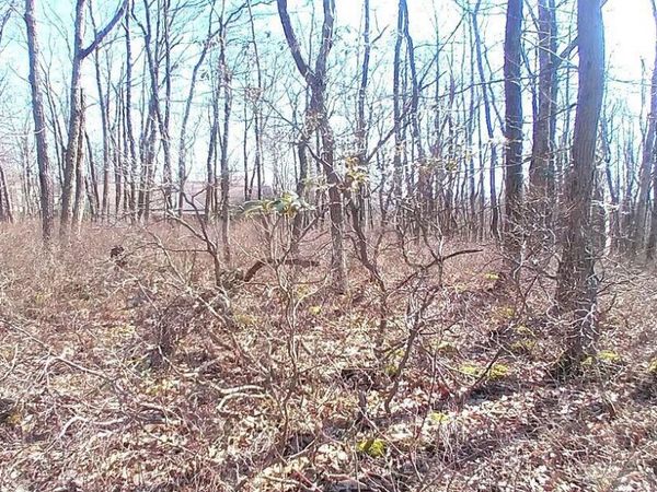 WS Lot 397 Horseshoe Drive, Hazleton, PA 18202