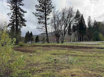276 Greenville Wolf Creek Road, Greenville, CA 95947 Photo