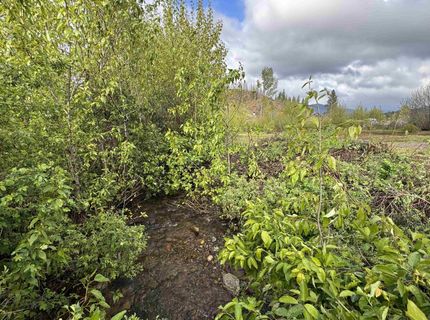 276 Greenville Wolf Creek Road, Greenville, CA 95947 Photo