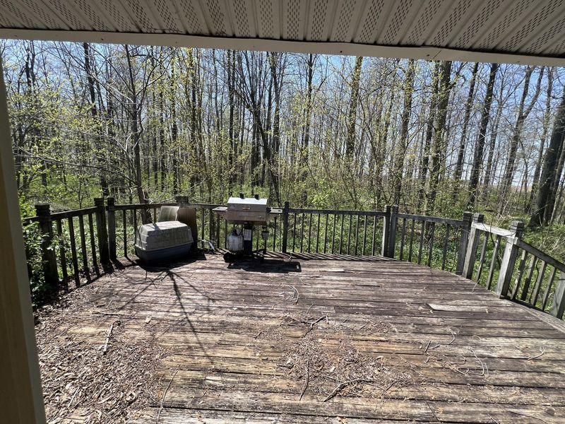 17300 Lock Two Road, Botkins, OH 45306 Photo 28