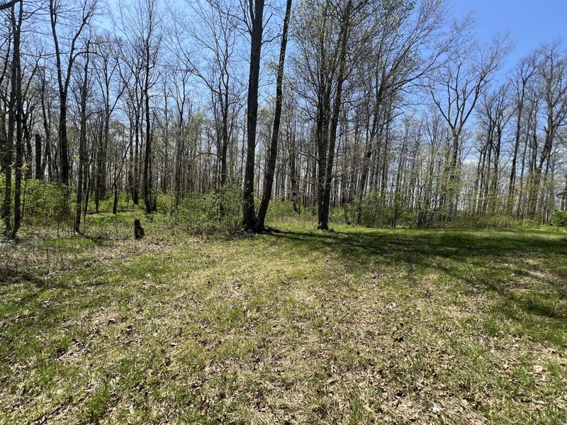 17300 Lock Two Road, Botkins, OH 45306 Photo 71