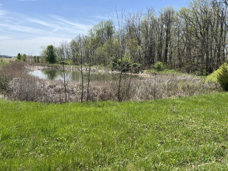 17300 Lock Two Road, Botkins, OH 45306 Photo 80